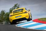 Porsche 718 Cayman GT4 2019 года (WW)
